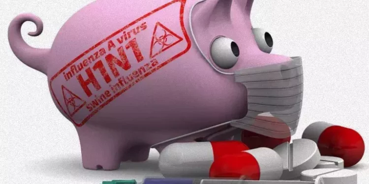 Domuz Gribi Belirtileri Nelerdir?