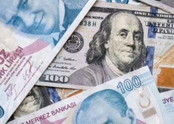 150 uzman tahminini açıkladı: Türk lirası 6 ay içinde..