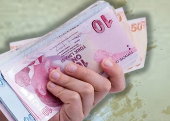 Şubat ayında fiyatı en çok artan ve azalan ürünler