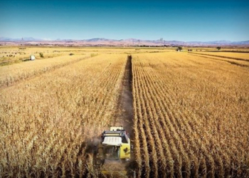 Tarım sektöründen 8 milyar 626 milyon dolarlık ihracat rekoru