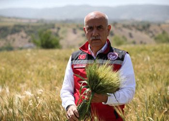 Bakan Kirişçi: Buğdayda gümrük vergisini yüzde 130’a çıkardık