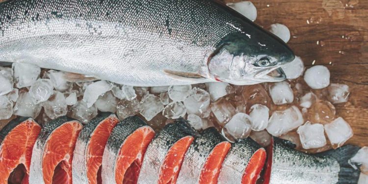 46,3 milyon dolarlık Türk somonu satıldı