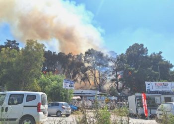 Antalya’da orman yangını başladı