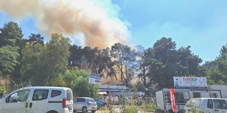 Antalya’da orman yangını başladı