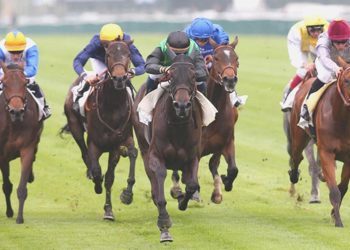 Binicilik, yıllık 15 milyar euroluk ihracat potansiyeline sahip