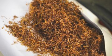 Kaçak tütünde vergi kaybı 70 milyar TL