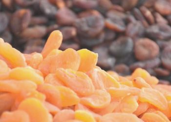 Malatya kayısısında 450 milyon dolarlık ihracat gayesi