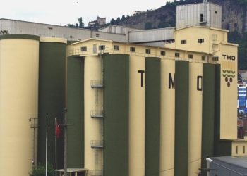 TMO’dan hububat alımlarına ait açıklama