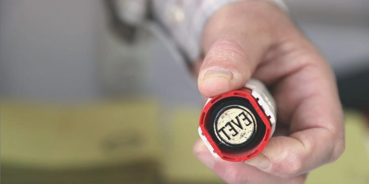 Türkiye, seçime yüksek iştirakte OECD 3’üncüsü