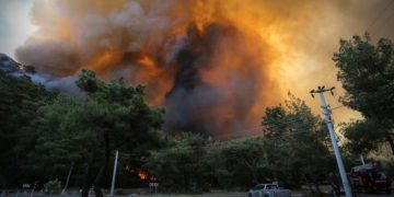 Aşırı sıcakların etkisi orman yangınlarını kaçınılmaz hale getirdi