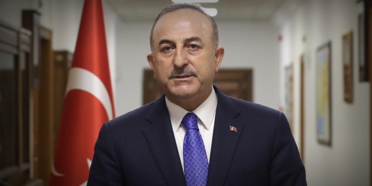 NATO PA Türk Delegasyonu Yeni Başkanı Mevlüt Çavuşoğlu