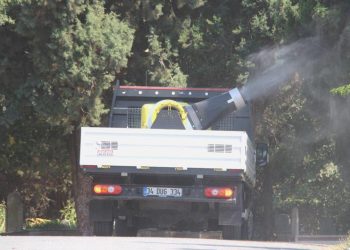 Asya kaplan sivrisineğine ABD işi çözüm!