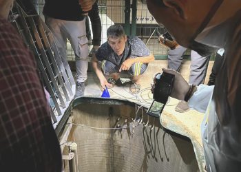 Atık su istasyonunda arızayı gidermek isteyen üç kişi hayatını kaybetti