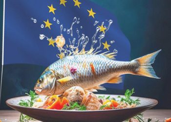 Avrupa’ya balık ihracatı için büyük fırsat!