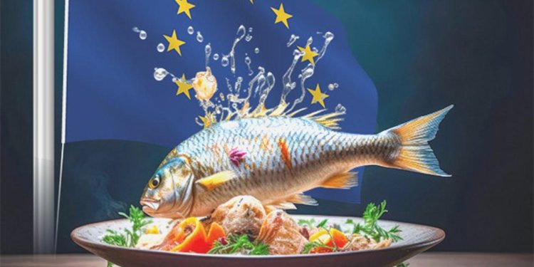 Avrupa’ya balık ihracatı için büyük fırsat!
