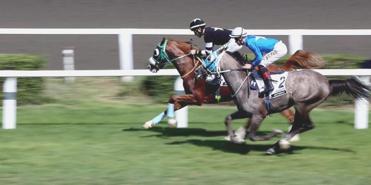 Baht oyunlarından alınan vergi ölçüleri artırıldı