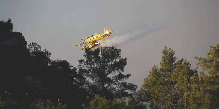 Bakan Ersoy: Amacımız Antalya’daki yangını gün içinde denetim altına almak