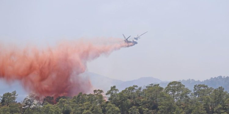 Bakan Yumaklı: Yılbaşında beri 1022 yangın çıktı, 6 bin 900 hektar küle öndü