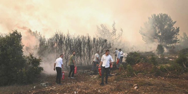Bir haftada orman yangınlarında yedi kuşkulu: İkisi tutuklandı