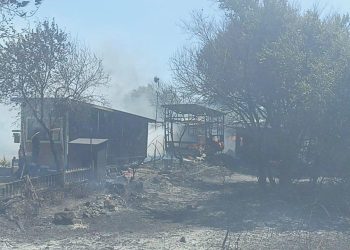 Bodrum’da orman yangını: Birtakım meskenler ziyan gördü