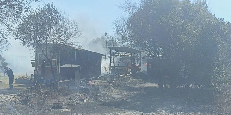 Bodrum’da orman yangını: Birtakım meskenler ziyan gördü