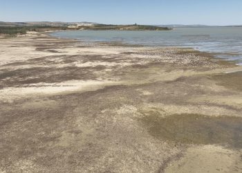 Büyükçekmece Gölü’nde kuraklık alarmı!