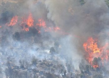 Çanakkale’de orman yangını! 8 köy etkilendi