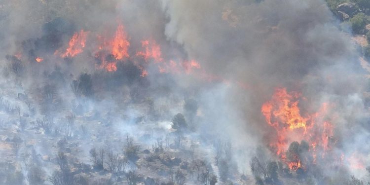 Çanakkale’deki orman yangını denetim altına alındı