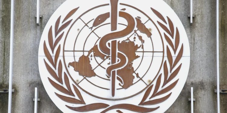 Dünyada her yıl tütün kullanımı nedeniyle 8,7 milyon insan ömrünü yitiriyor