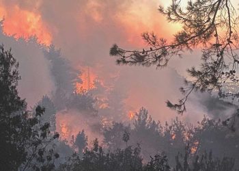 Hatay Belen’deki yangına müdahale devam ediyor
