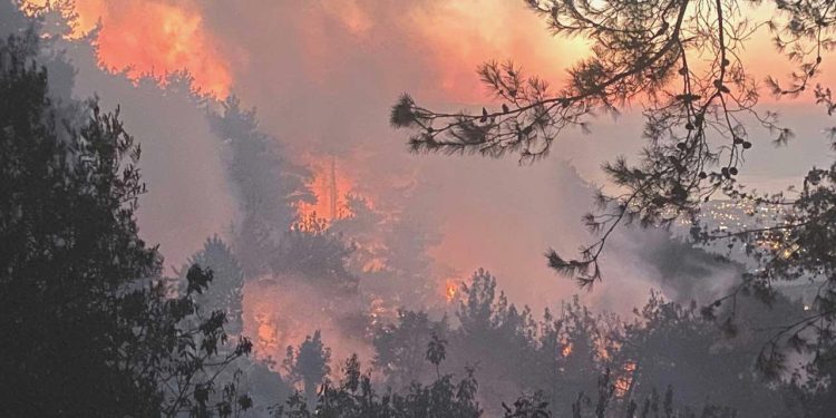 Hatay, Mersin ve Çanakkale’de yangınlar sürüyor