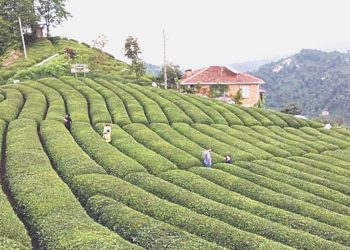 Haziran ayı artırım şampiyonu belirli oldu