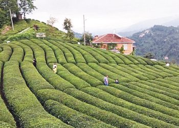 Haziran ayı artırım şampiyonu belirli oldu