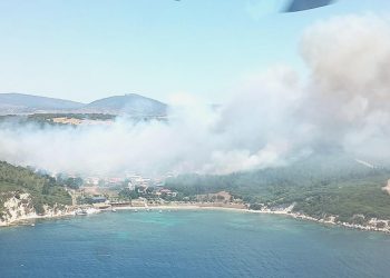 İzmir’de iki başka yerde orman yangını