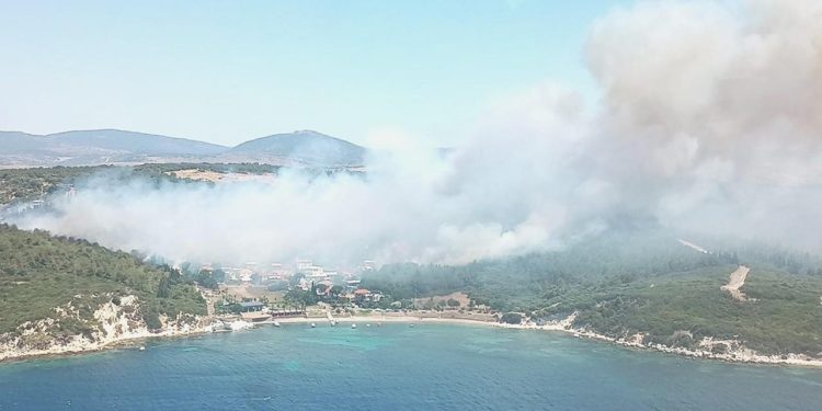 İzmir’de iki başka yerde orman yangını