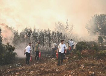 İzmir’deki orman yangınından 12 kişi etkilendi, birinin durumu ağır