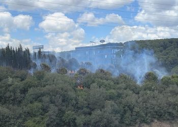 Kağıthane’de orman yangını çıktı