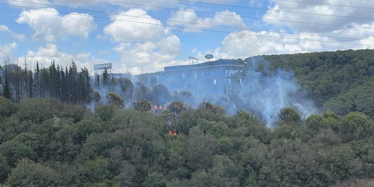 Kağıthane’de orman yangını çıktı