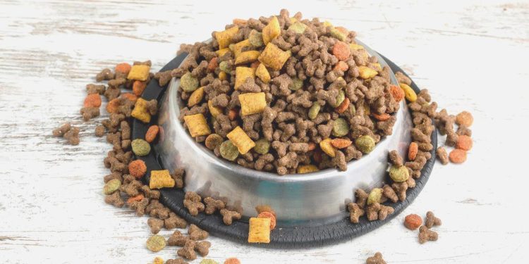 Kedi-köpek maması ihracatında maksat 100 milyon doları aşmak