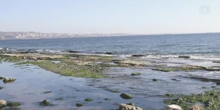 Marmara Denizi’nde kirlilik ve global ısınma alarmı