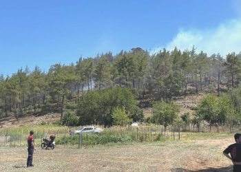 Marmaris’te orman yangını çıktı