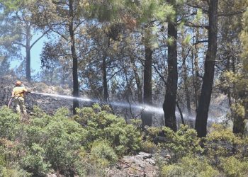 Marmaris’te üç futbol alanı büyüklüğünde orman yandı