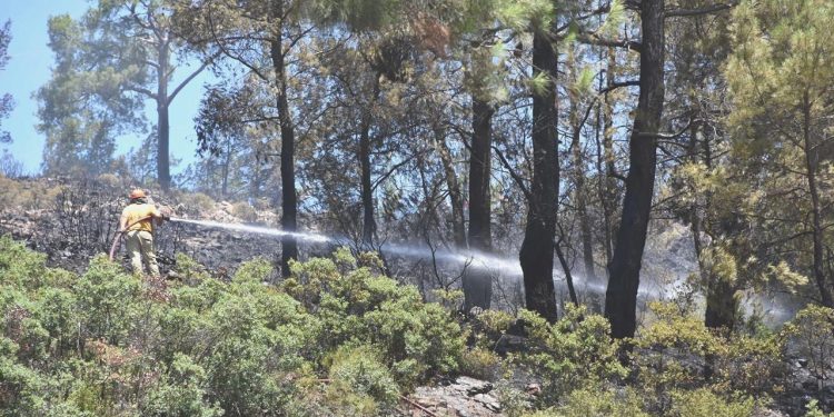 Marmaris’te üç futbol alanı büyüklüğünde orman yandı