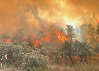 Mersin Gülnar’da orman yangını
