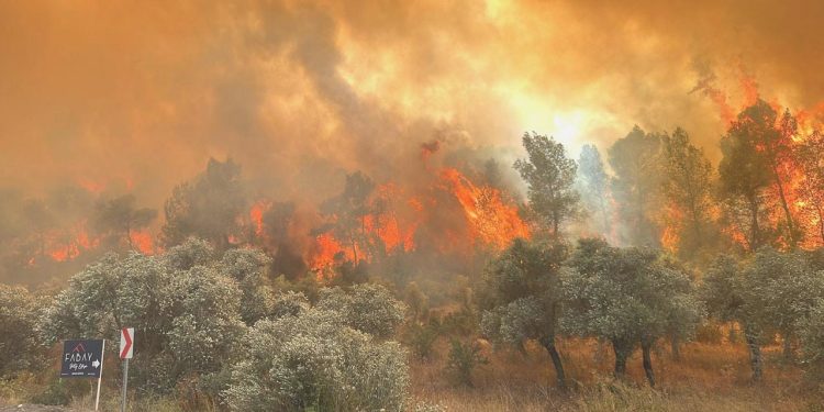 Muğla’da orman yangını: Söndürme çalışmaları sürüyor