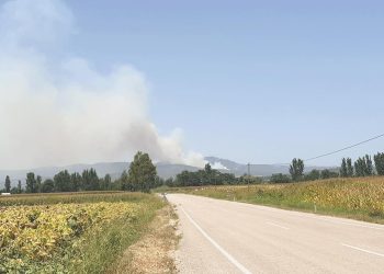 Osmaniye’de çıkan orman yangını denetim altına alındı