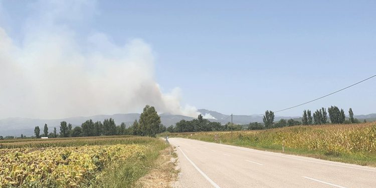 Osmaniye’de çıkan orman yangını denetim altına alındı