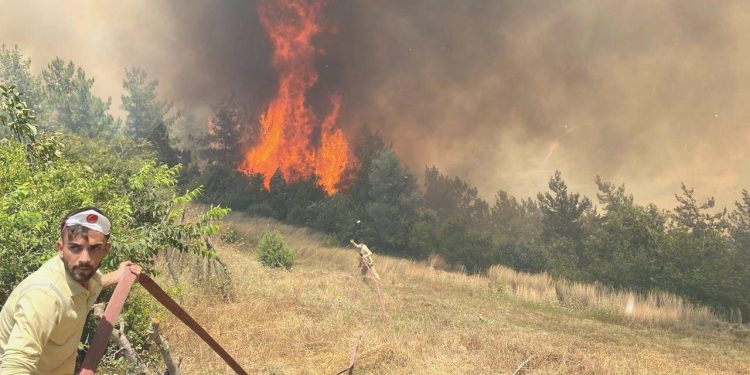 Osmaniye’de orman yangını: Meskenler tahliye edildi