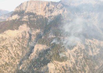 TEMA Vakfı, orman yangınlarına karşı ikazda bulundu