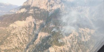 TEMA Vakfı, orman yangınlarına karşı ikazda bulundu